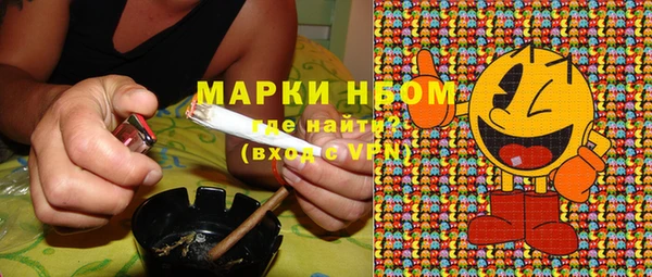 spice Аркадак