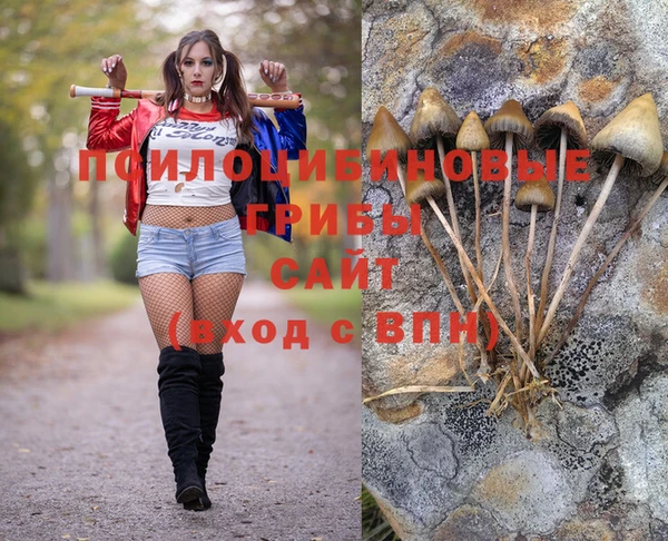 spice Аркадак