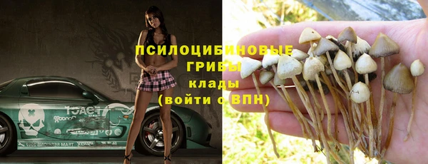 МДПВ Армянск