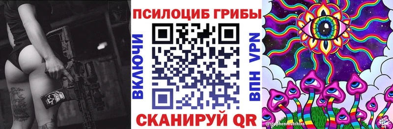 наркота  Дмитриев  Псилоцибиновые грибы прущие грибы 